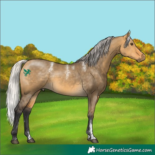 Horse Color:Powder White Silver Buckskin Dun 