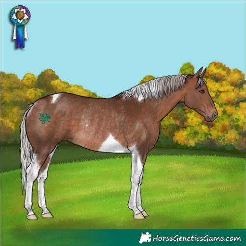 Horse Color:Silver Brown Tobiano Rabicano