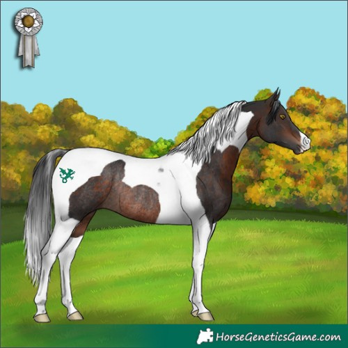 Horse Color:Bay Tobiano Rabicano