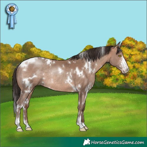Horse Color:White Spotted Sable Champagne Sabino Rabicano 