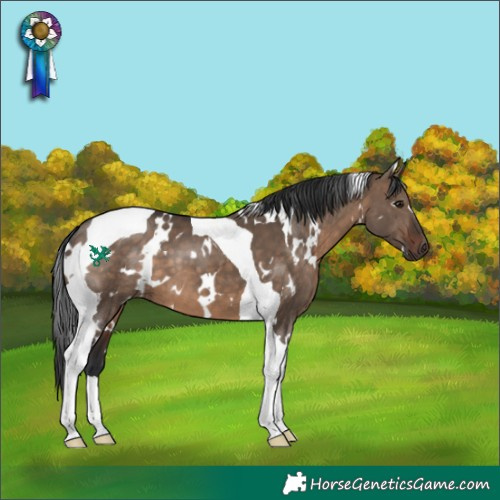 Horse Color:White Spotted Brown Dun Tobiano 