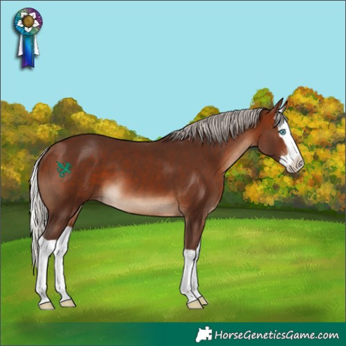 Horse Color:Silver Brown Splash