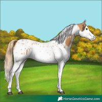 Horse Color:Chestnut Splash Tobiano and Chestnut Splash Tobiano
