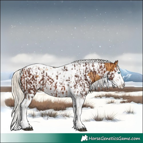 Horse Color:Silver Bay Splash Tobiano and Palomino Splash Tobiano