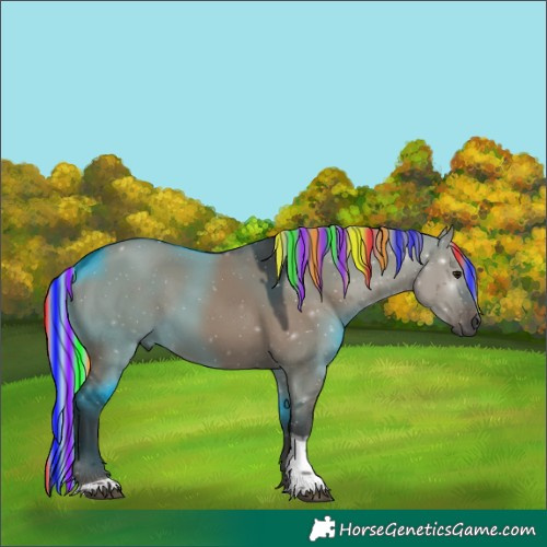 Horse Color:Gray Painted White Spotted Silver Grullo Tobiano