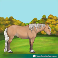 Horse Color:Silver Bay Dun