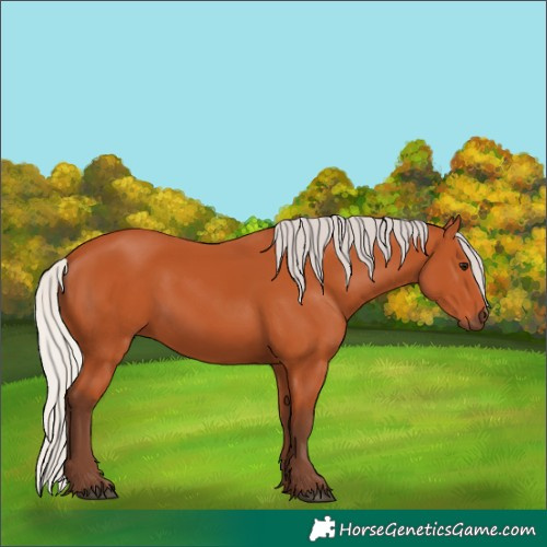 Horse Color:Silver Bay