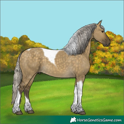 Horse Color:Silver Buckskin Dun Tobiano