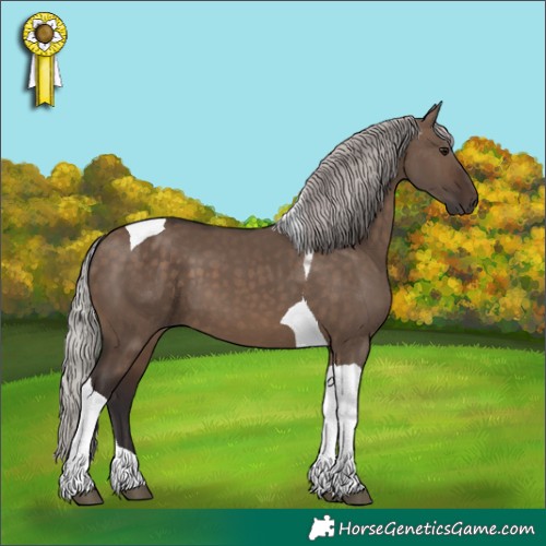 Horse Color:Silver Brown Dun Tobiano 