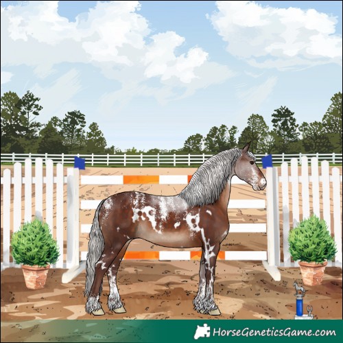 Horse Color:Powder White White Spotted Chocolate Silver Brown 