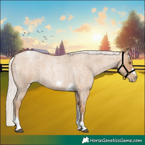 Horse Color:Silver Blue Roan Pearl Tobiano Frame 