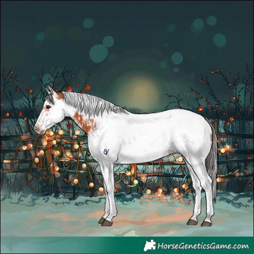 Horse Color:Bay Splash Tobiano Frame and Bay Splash Tobiano Frame