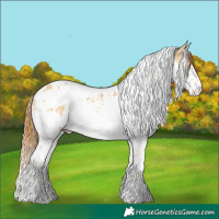 Horse Color:Red Dun Splash Tobiano and Red Dun Splash Tobiano