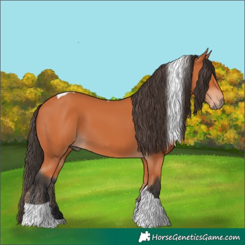 Horse Color:Bay Tobiano