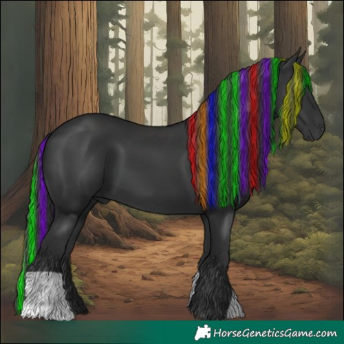 Horse Color:Painted Black