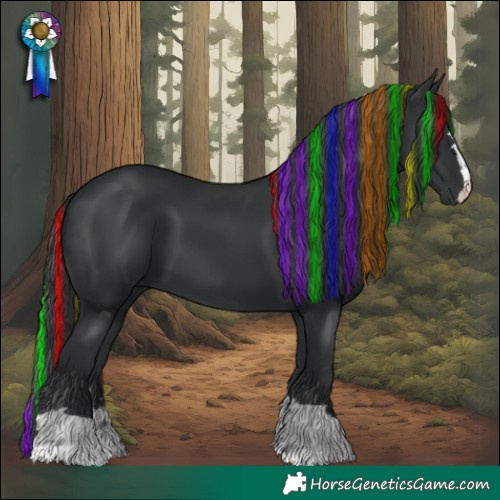 Horse Color:Painted Black