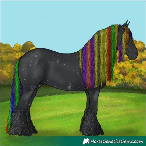 Horse Color:Painted Black 