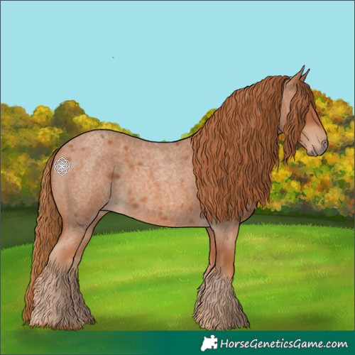 Horse Color:Red Roan