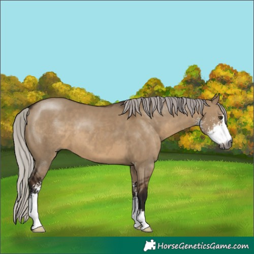 Horse Color:Gray Silver Brown Dun Sabino
