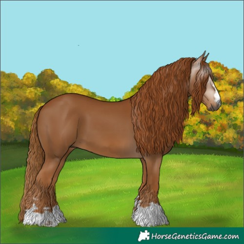 Horse Color:Gray Chestnut