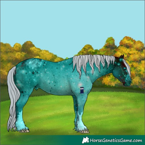 Horse Color:ERROR: UNKNOWN ANOMALY