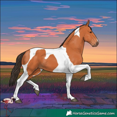 Horse Color:Bay Tobiano