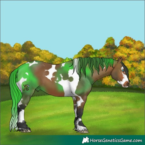 Horse Color:Bay Splash Tobiano 