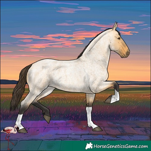 Horse Color:Buckskin Roan Dun Tobiano