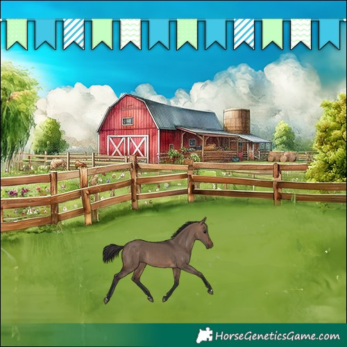 Horse Color:Brown Dun