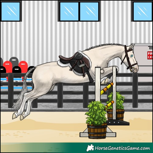 Horse Color:Cremello 