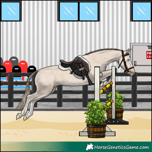 Horse Color:Smoky Creme 