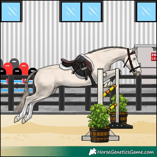 Horse Color:Perlino 