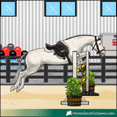 Horse Color:Cremello Dun