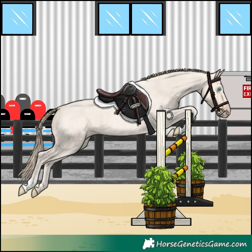 Horse Color:Perlino Roan