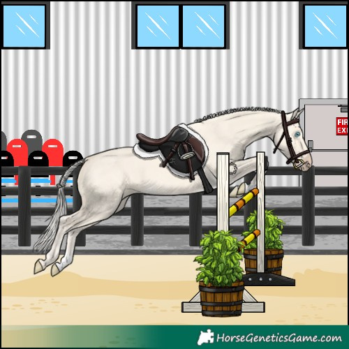 Horse Color:Cremello Dun 