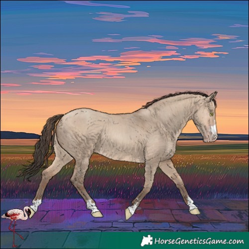 Horse Color:Amber Champagne Dun 