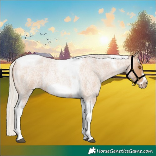 Horse Color:Silver Blue Roan Pearl Tobiano Frame 