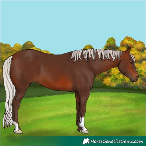 Horse Color:Silver Brown