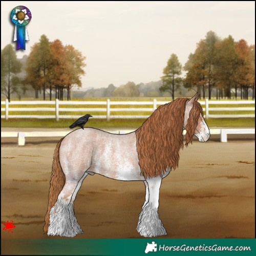Horse Color:White Spotted Red Roan