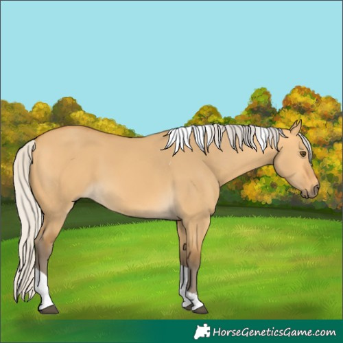 Horse Color:Silver Buckskin Dun Tobiano 