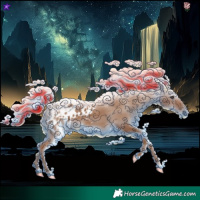 Horse Color:Gray Painted Chestnut Appaloosa