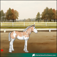 Horse Color:White Spotted Silver Bay Dun Splash