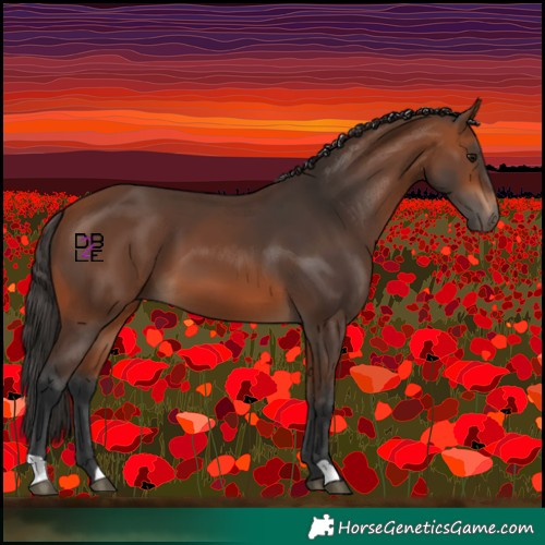 Horse Color:Bay 