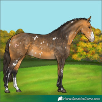 Horse Color:White Spotted Buckskin Sabino