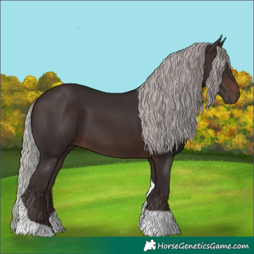 Horse Color:Silver Brown Tobiano Rabicano 