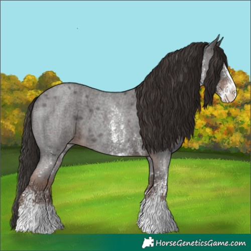 Horse Color:Liver Red Roan Sabino