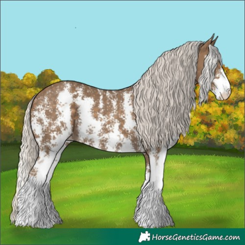 Horse Color:Silver Smoky Black Sabino Rabicano