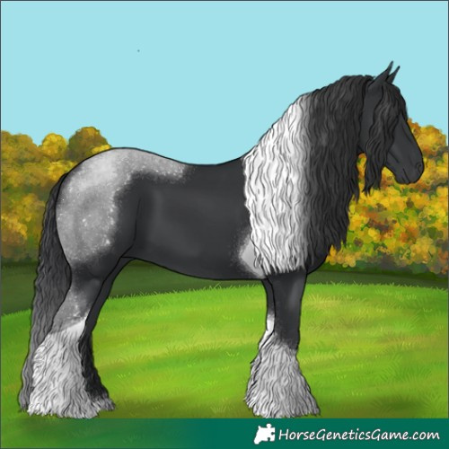 Horse Color:Black Tobiano