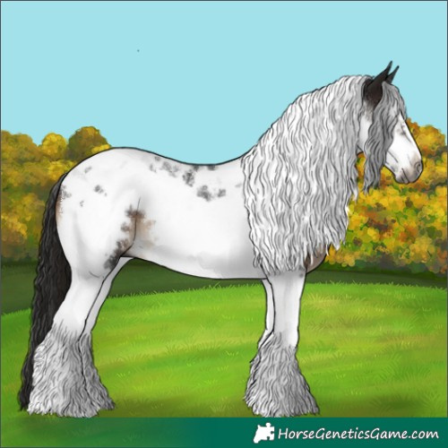 Horse Color:Gray Brown Tobiano Frame 