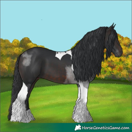 Horse Color:Brown Tobiano